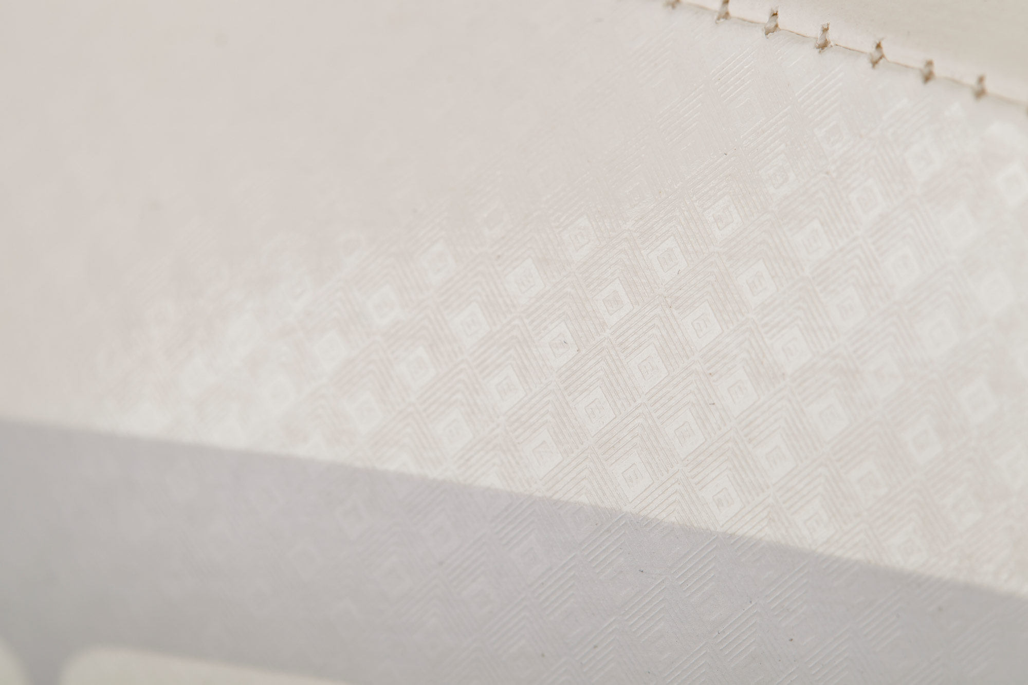 MMA/Allkampf Sparring Handschuh Carbon Paladin weiß – Bild 8